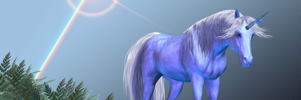 juniper728's profile banner image