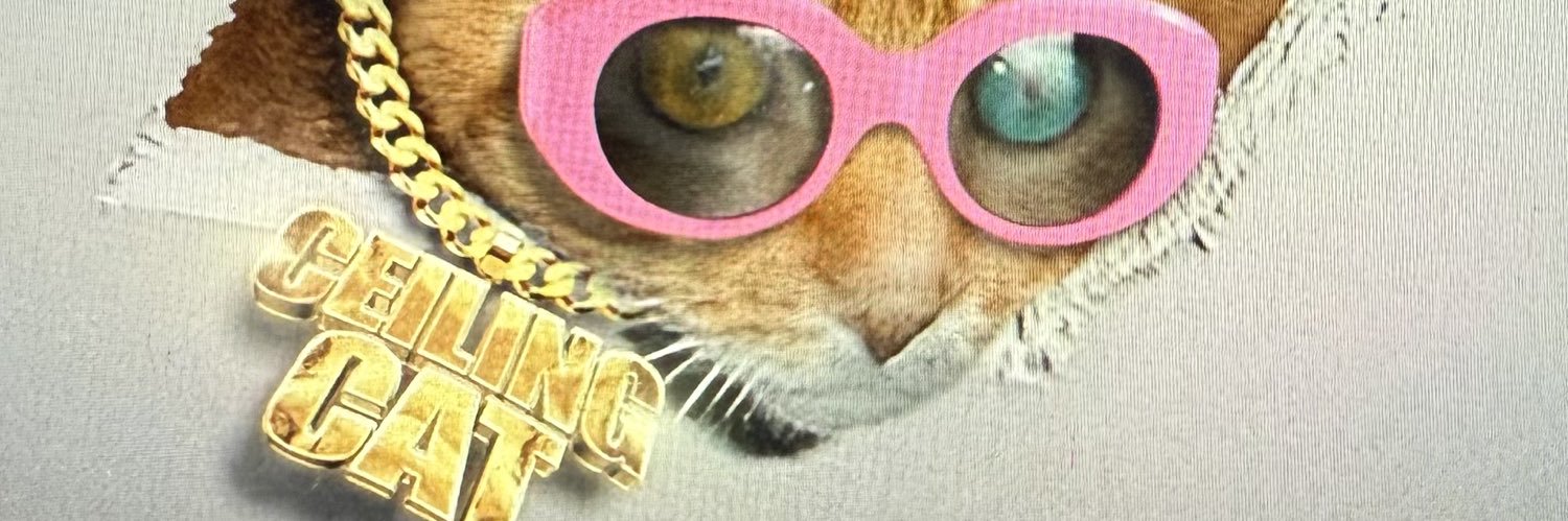 Lady Kitty Top banner