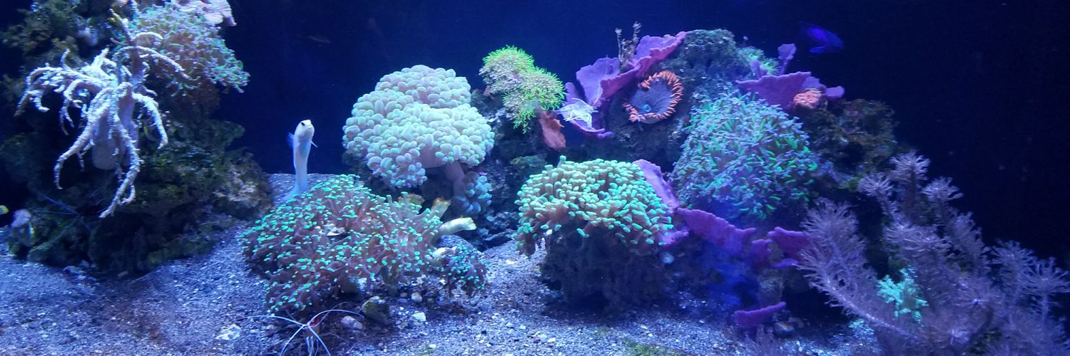 Dan_Dickerson92's profile banner image