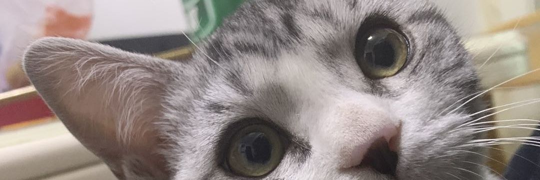 重生后我在日本当丧尸 banner