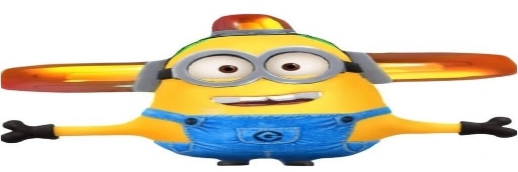 wilton pereira daronco abatti edina alves da silva banner