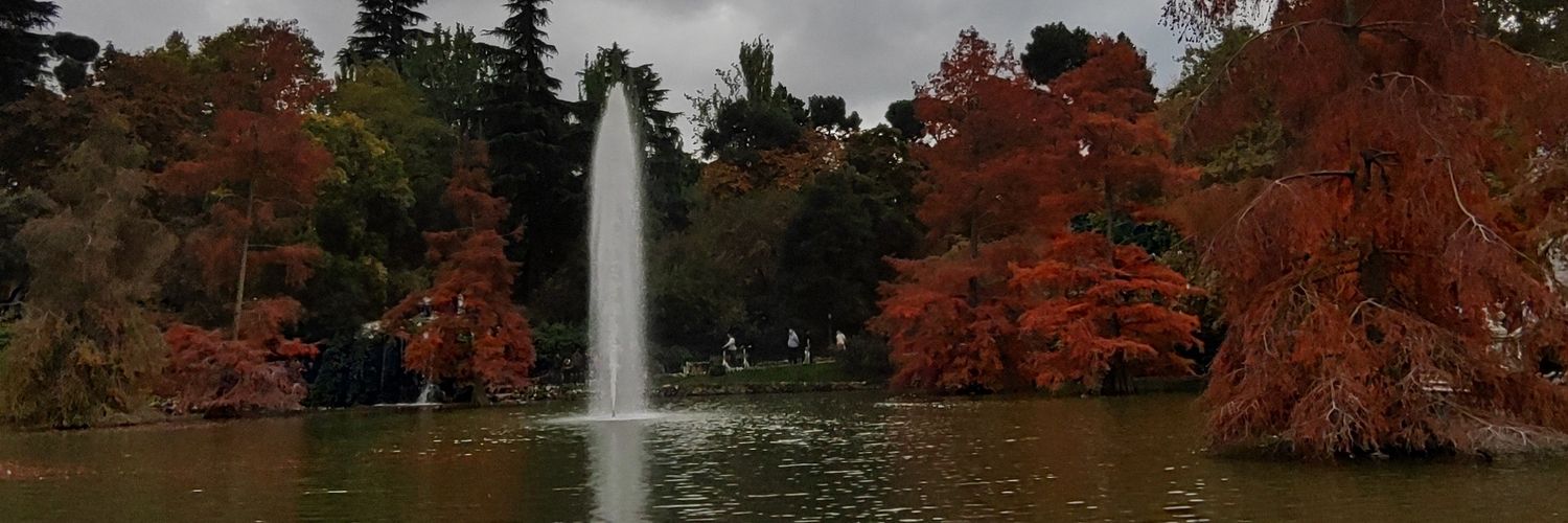 pepitasacanuez's profile banner image