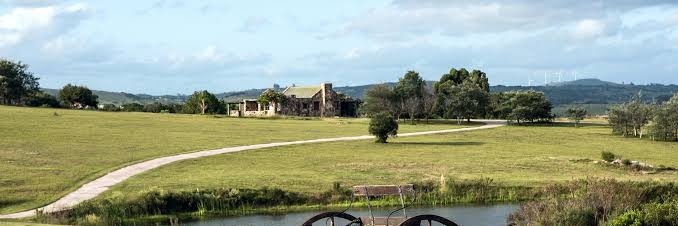 6万ペソ・サブスタンス banner