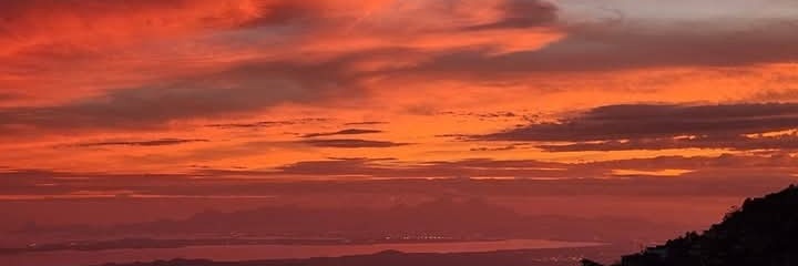 Flora 🌷🌷🌷 banner