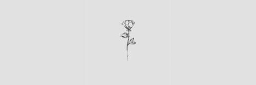 mxxrtina's profile banner image