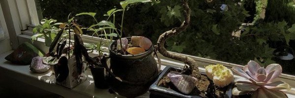 _moonshyyne Profile Banner