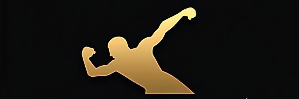 Shehroz Developer banner