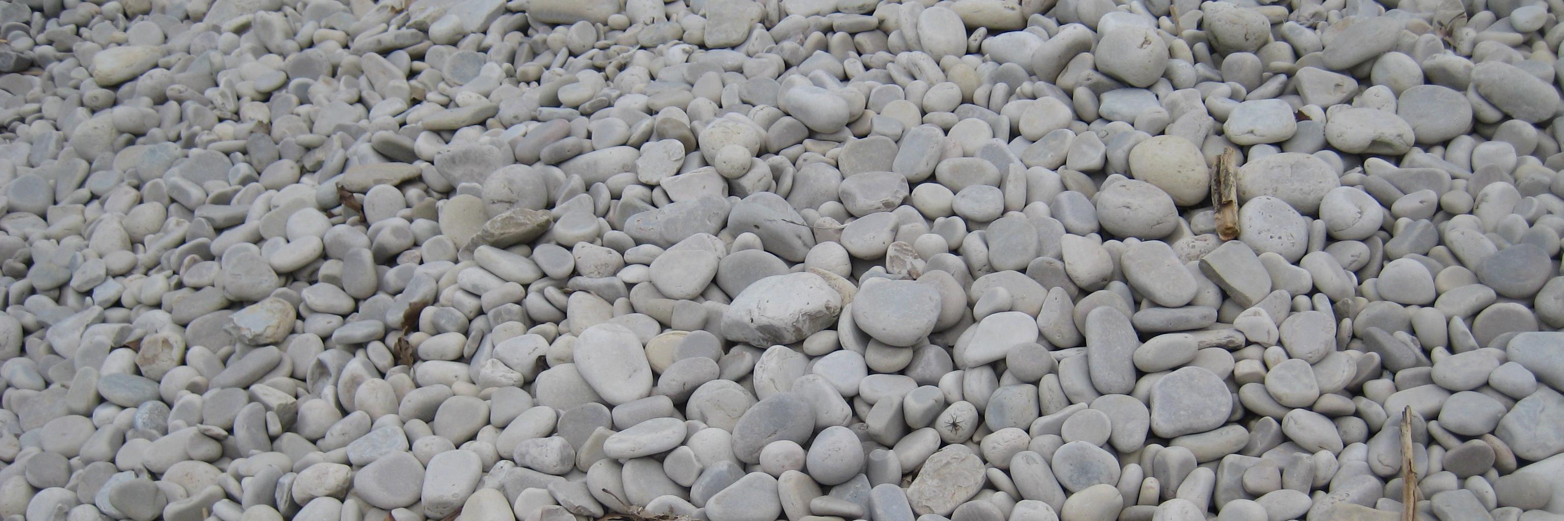 lwinkelspecht's profile banner image