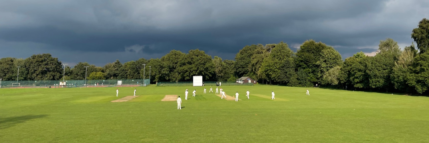 Godalming🏏 banner