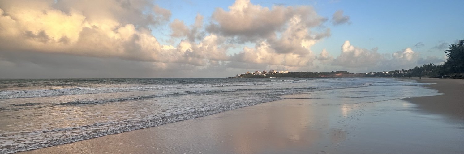 Gabriela Schmidt banner