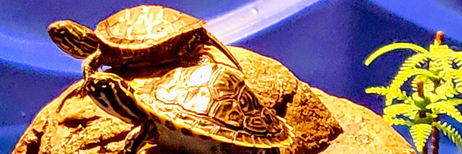 Az1ner009's profile banner image