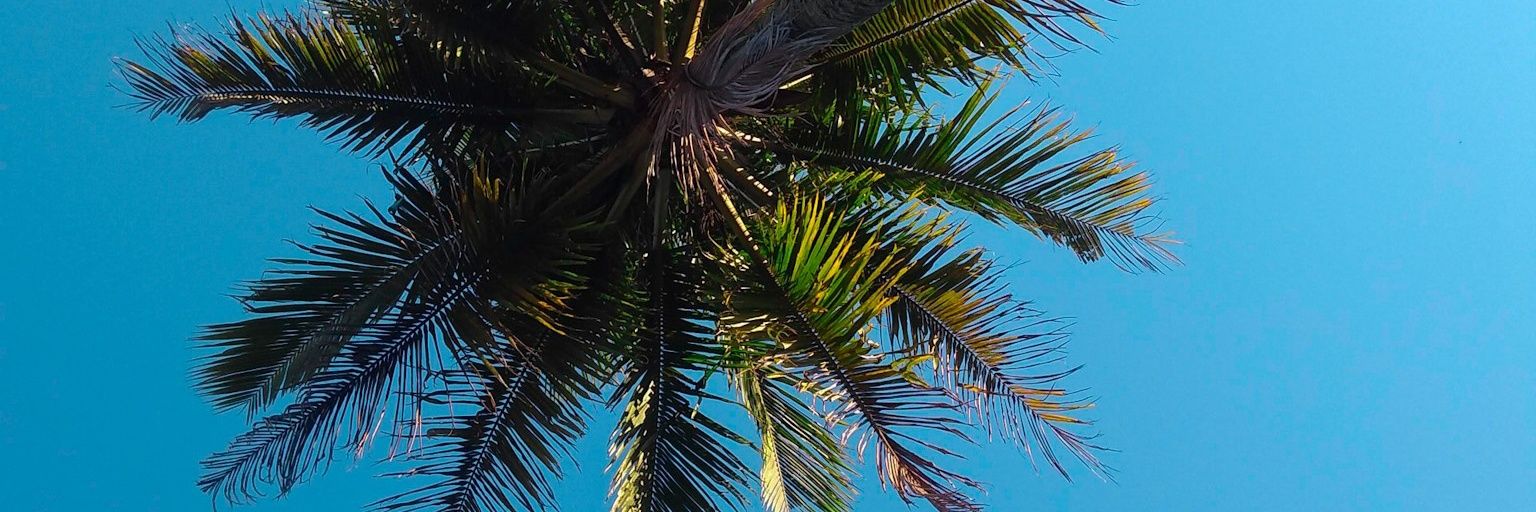 juuoliiveira_'s profile banner image