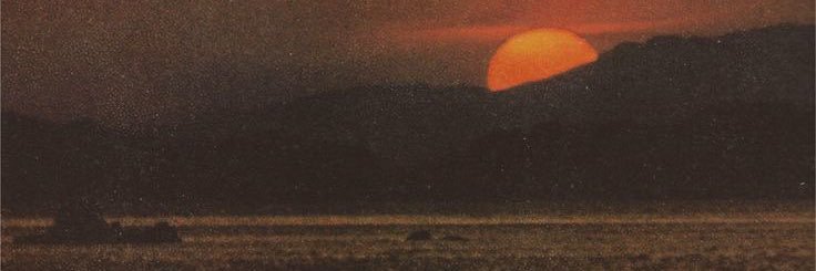 🍰 banner