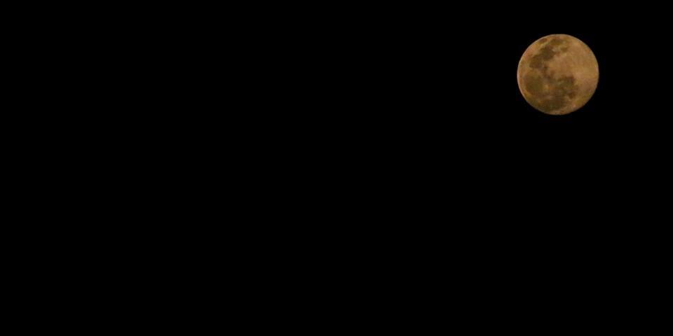 dindadimana's profile banner image