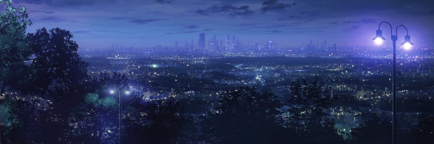 internet pro banner
