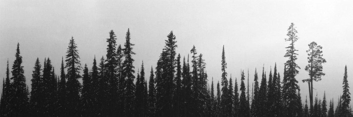 R0SHCHACH's profile banner image