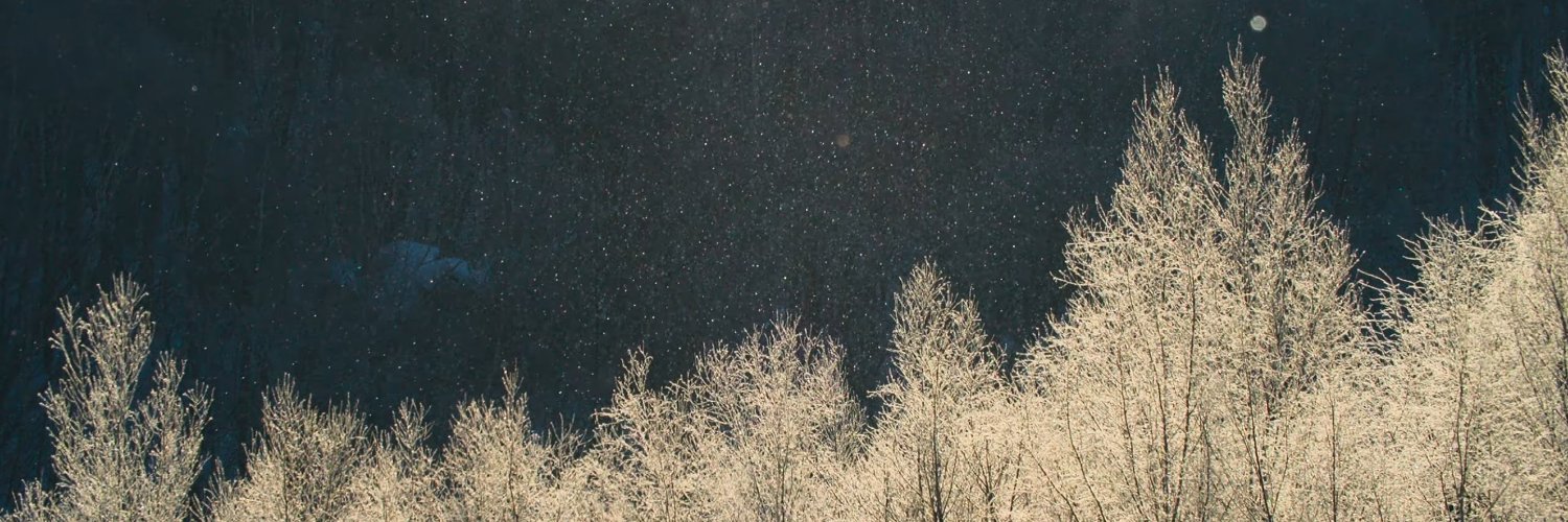 PAW__PADS's profile banner image