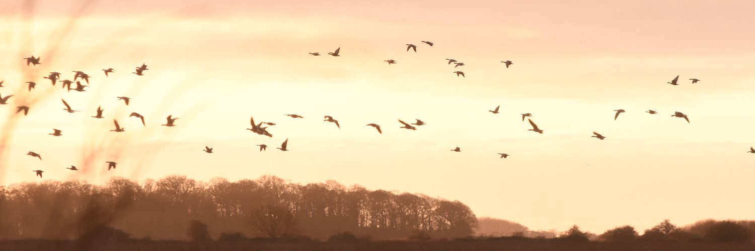 Harshith Parthiban banner