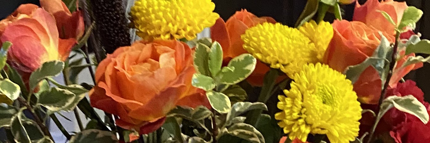 suemichelson's profile banner image