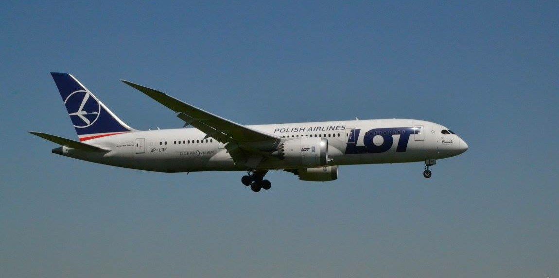 Agnieszka Thomson banner