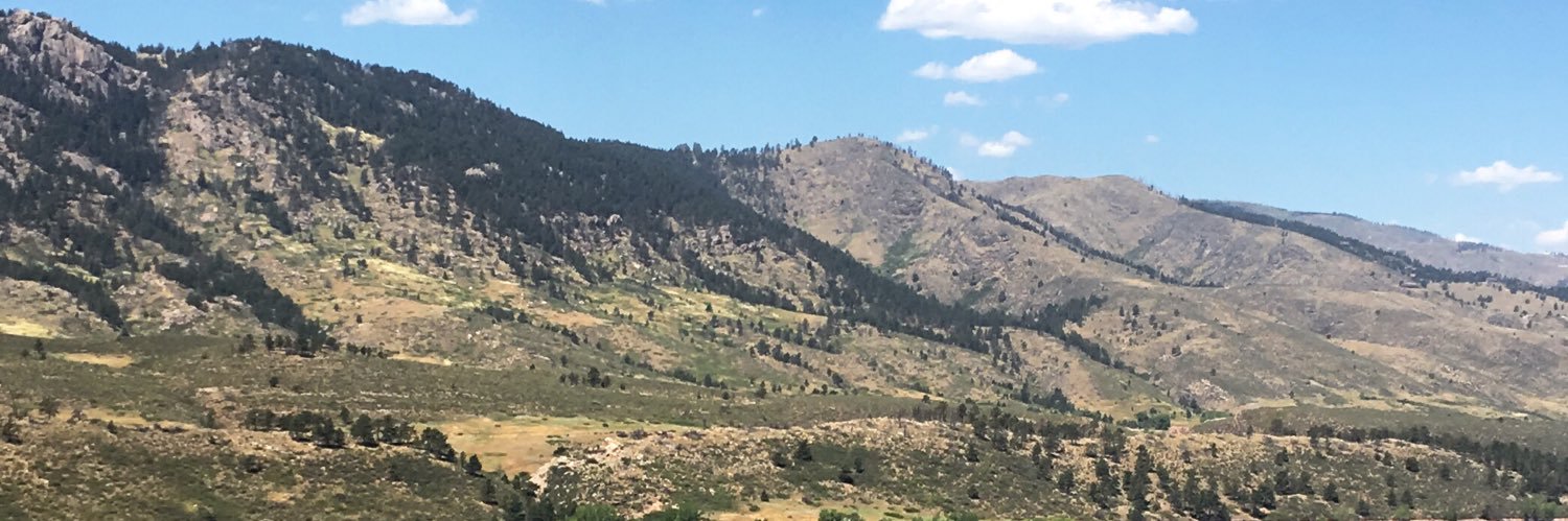 SarahJaggars's profile banner image