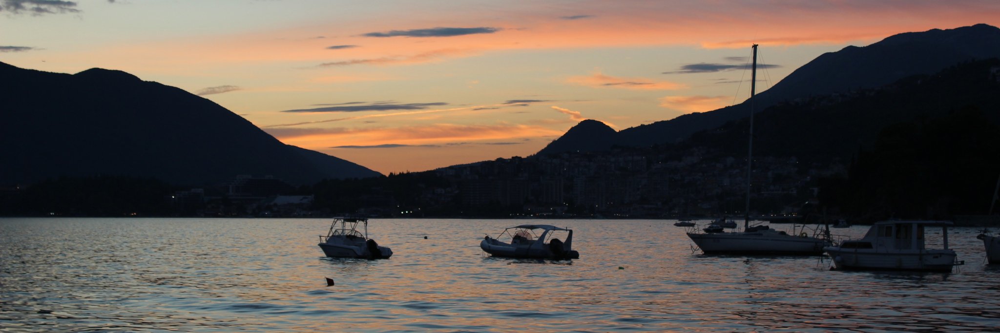 Dalibor Nasevic banner