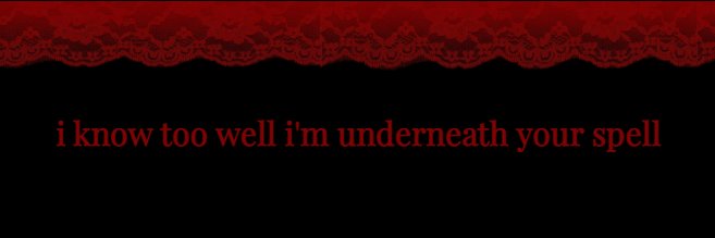 ♰ damien's banner