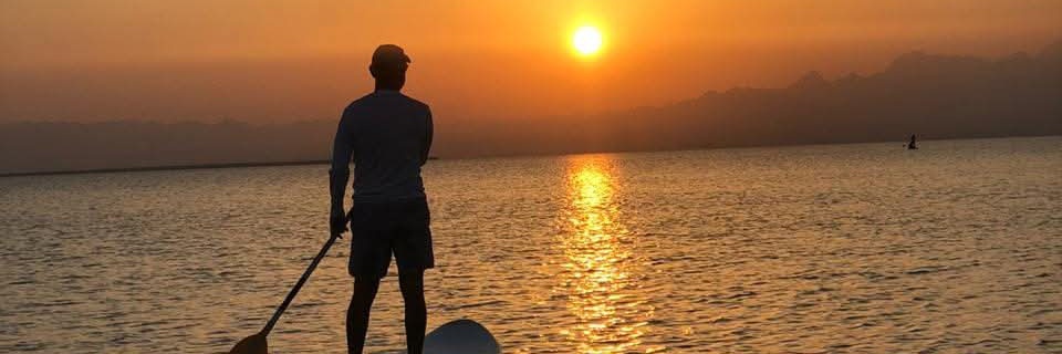 Ahmed I. Shoukry banner