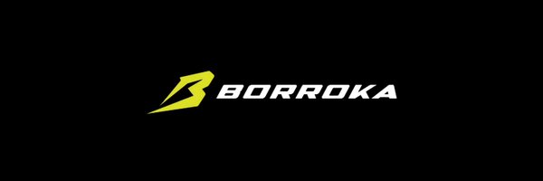 BorrokaMMA Profile Banner
