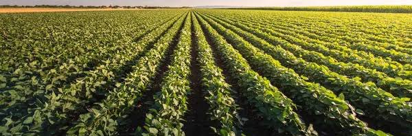 AGROBRASILPR's profile banner image