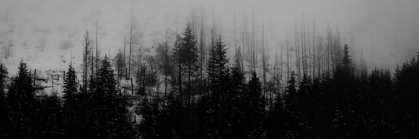 PanicDisorder88's profile banner image
