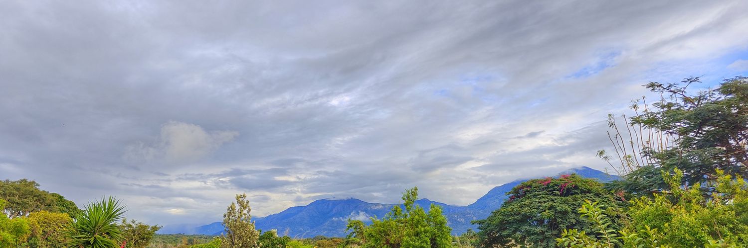 Mudumalai Tiger Reserve Weather banner
