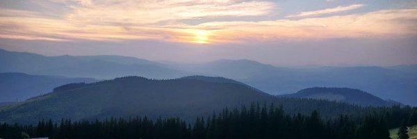 CryptohooperB Profile Banner