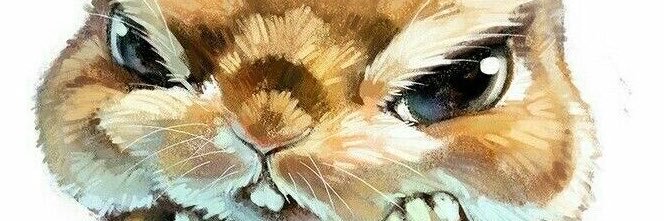i______Queen's profile banner image