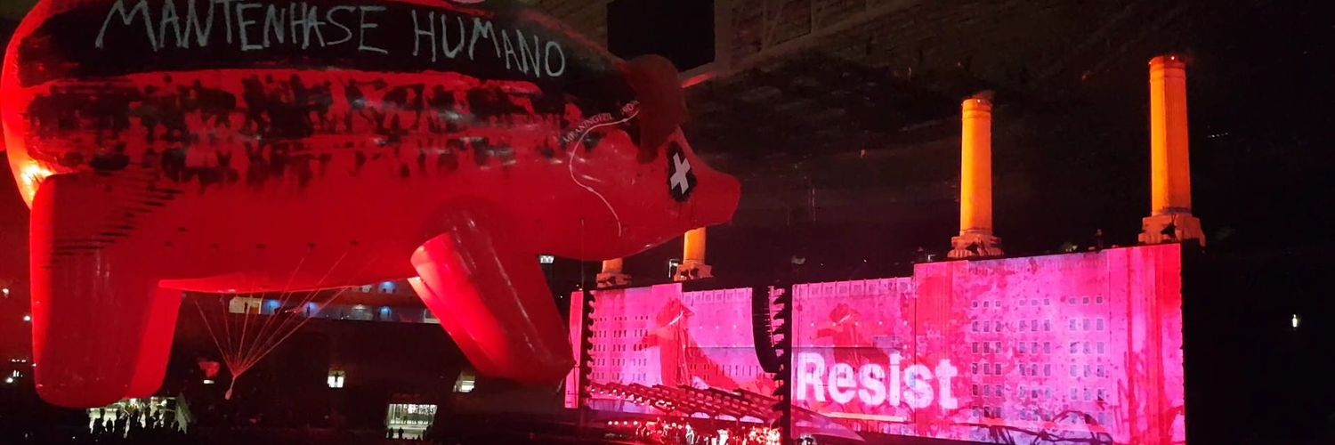 Marcos Branco banner