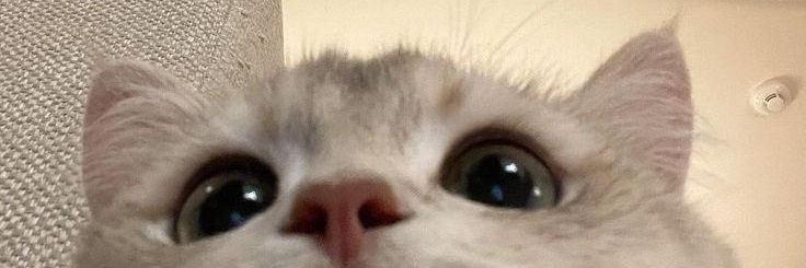 sourcam banner