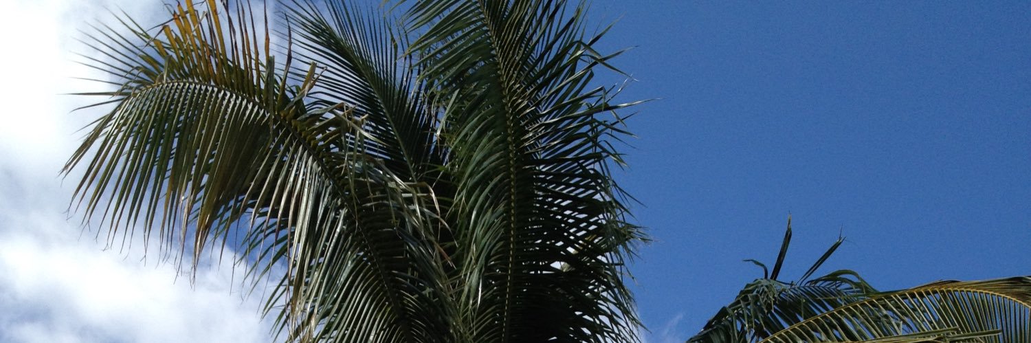 KyleMsmd's profile banner image