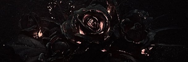 hatimxii's profile banner image