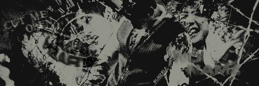LSSZELF's profile banner image