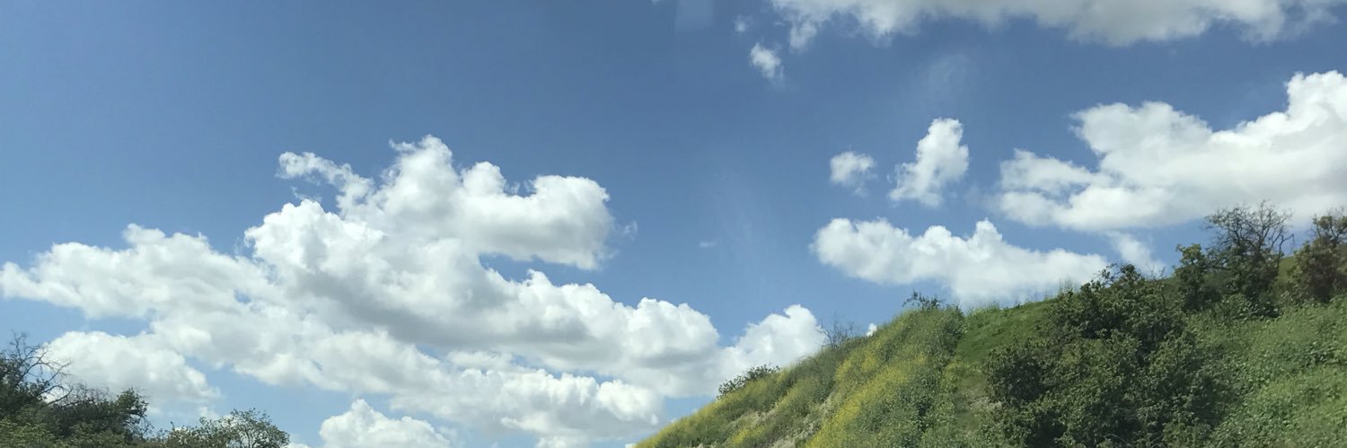 marissathefetus's profile banner image