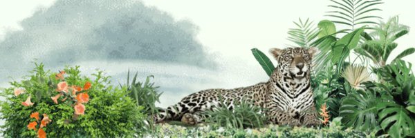 BioFiProject Profile Banner