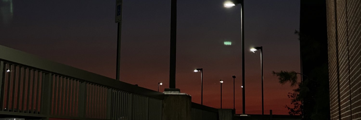 lisettesv11's profile banner image