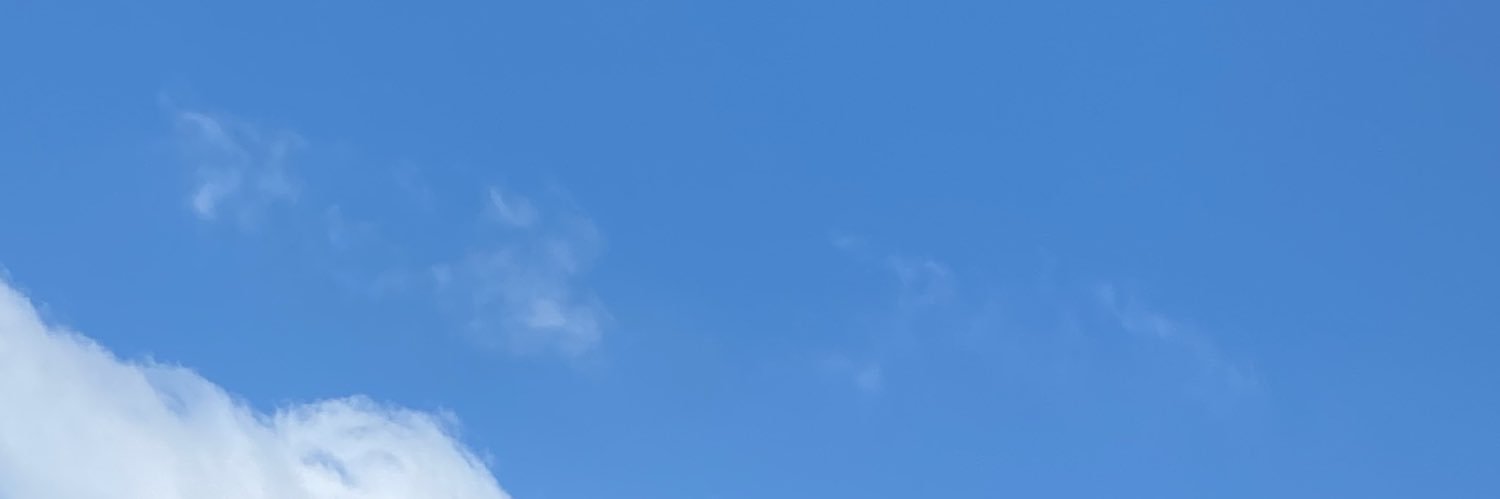 WILDDOGWILLY🐕 banner