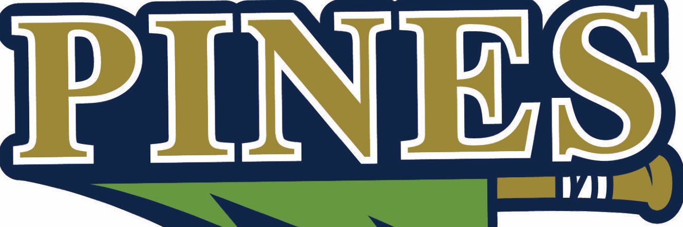 Rochester Pines banner