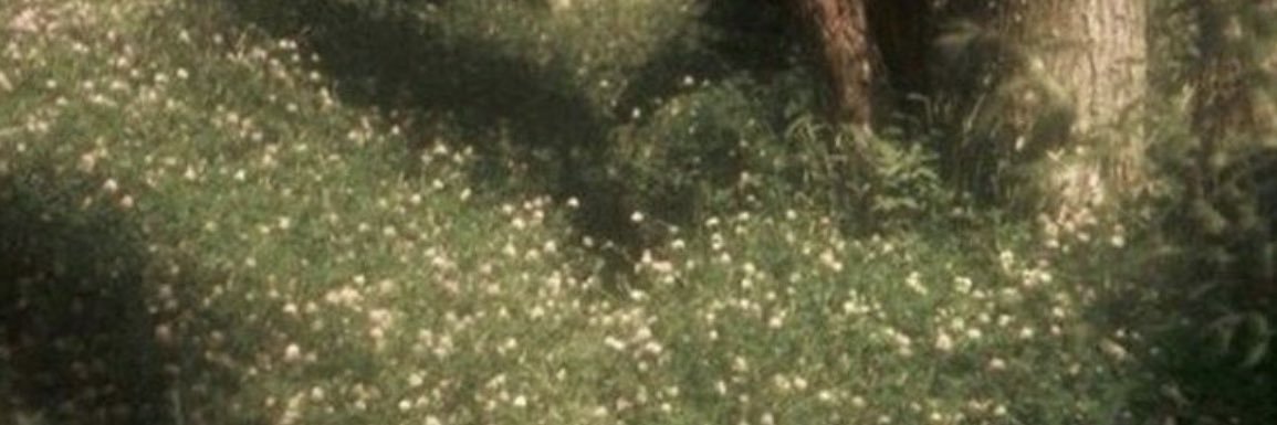 marley ˖᯽ ݁˖· edtwt banner