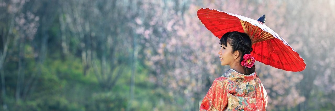 _chiyo8's profile banner image