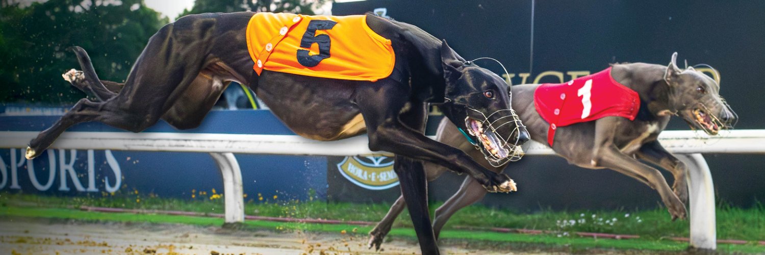 Towcester Racecourse banner