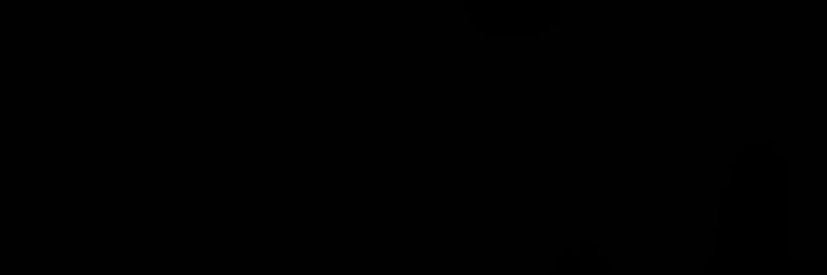 🎀 banner