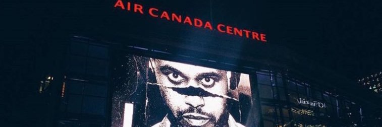 torontoabel's profile banner image
