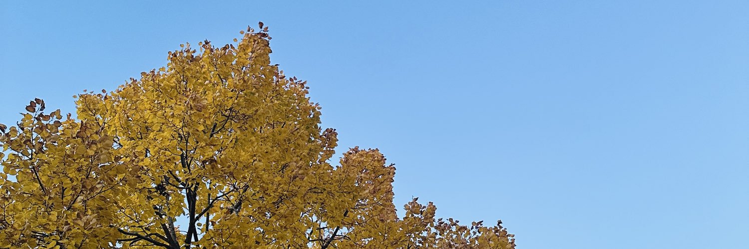 BoughtTheT0p's profile banner image